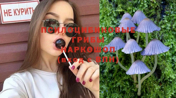 сатива Майский